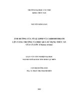 ảnh hưởng của tỉ lệ lipid và carbohydrate lên tăng trưởng và hiệu quả sử dụng thức ăn của cá lóc (channa striata) 