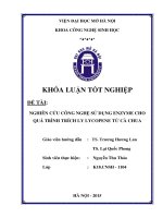 Nghiên cứu công nghệ sử dụng enzyme cho quá trình trích ly LYCOPENE từ cà chua 