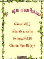 Chủ đề: Một số loài rau