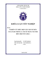 Nghiên cứu biểu hiện gen XBX mã hóa XYLANASE trong e COLI sử dụng VECTOR biểu hiện PET 22b(+) 