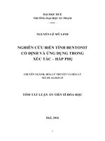 NGHIÊN CỨU BIẾN TÍNH BENTONIT CỔ ĐỊNH VÀ ỨNG DỤNG TRONG XÚC TÁC – HẤP PHỤ