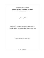 NGHIÊN cứu đa DẠNG DI TRUYỀN PHÂN đoạn s7 của các CHỦNG VIRUS gây BỆNH lúa lùn sọc ĐEN 