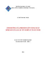 ảnh hưởng của protein lên năng suất sinh sản của gà ác từ 22 đến 27 tuần tuổi 