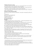 Tóm tắt Việt Nam văn hóa sử cương Đào Duy Anh