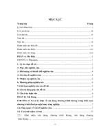 VẬN DỤNG CHƯƠNG TRÌNH KHUNG TRONG BIÊN SOẠN CHƯƠNG TRÌNH đào tạo NGHỀ MAY CÔNG NGHIỆP ở TRUNG tâm dạy NGHỀ HUYỆN TRẦN văn THỜI, TỈNH cà MAU