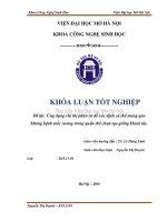 Ứng dụng chỉ thị phân tử để xác định cá thể mang gen kháng bệnh mốc sương trong quần thể chọn tạo giống khoai tây 