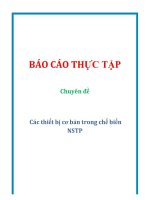 Báo cáo thực tập chuyên đề các thiết bị cơ bản trong chế biến NSTP