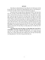 tiểu luận cao học Giải pháp tăng cường hoạt động xây dựng pháp luật trong thời kỳ CNH-HĐH ở Việt Nam trong giai đoạn hiện nay
