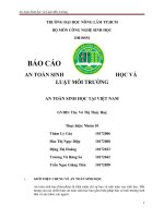 Báo cáo nhóm an toàn sinh học