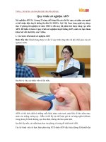 Quy trình xét nghiệm ADN