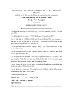 Mẫu hợp đồng thế chấp tài sản cho khoản vay được Chính phủ bảo lãnh