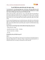 Tự chế điều hòa mini siêu mát cho ngày nóng