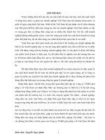 Báo cáo thực tập Tài chính – doanh nghiệp: Tổng quan chung về Công ty TNHH giải pháp y tế Việt Nam.