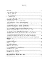 Đánh giá kết quả thực hiện đề án nông thôn mới tại xã An Ấp – huyện Quỳnh Phụ - tỉnh Thái Bình