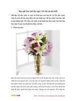 Mẹo giữ hoa tươi lâu ngày Tết chị em nên biết