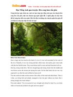 Học Tiếng Anh qua truyện: Dẻo cong hơn rắn giòn