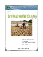 Ảnh hưởng biến đổi khí hậu RNM