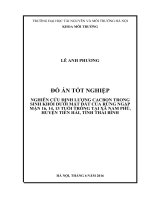 NGHIÊN CỨU ĐỊNH LƯỢNG CACBON TRONG SINH KHỐI DƯỚI MẶT ĐẤT CỦA RỪNG NGẬP MẶN 16, 14, 13 TUỔI TRỒNG TẠI XÃ NAM PHÚ, HUYỆN TIỀN HẢI, TỈNH THÁI BÌNH