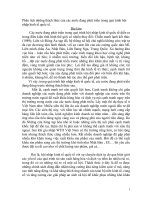 Phân tích những thách thức của các nước đang phát triển trong quá trình hội nhập kinh tế quốc tế.