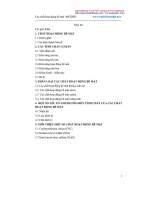 Các chất hoạt động bề mặt