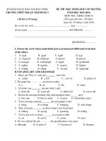 Đề thi chọn học sinh giỏi cấp trường môn Tiếng Anh lớp 10 trường THPT Thuận Thành 3, Bắc Ninh năm học 2015 - 2016