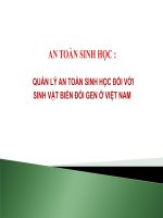 Quản lý an toàn sinh học đối với sinh vật biến đổi gene ở việt nam