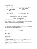 Quyết định xử phạt vi phạm hành chính trong lĩnh vực giao thông đường bộ