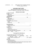 hop dong thue lai dat 