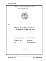 Chiến lược phát triển sản phẩm mới cho sản phẩm nước khoáng alba tại thị trường Hà Nội