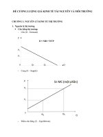 ĐỀ CƯƠNG LƯỢNG GIÁ KINH TẾ TÀI NGUYÊN VÀ MÔI TRƯỜNG