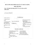 ĐỀ CƯƠNG HỆ THỐNG QUẢN LÝ CHẤT LƯỢNG  MÔI TRƯỜNG