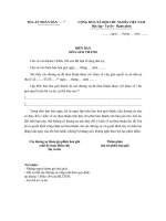 Mẫu biên bản hòa giải thành