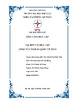 BÁO CÁO THỰC TẬP  TẠI ĐƠN VỊ THỰC TẬP CÔNG TY CỔ PHẦN QUỐC TẾ TICO