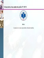 VI KHUẨN VÀ TẦM ẢNH HƯỞNG TỚI MÔI TRƯỜNG