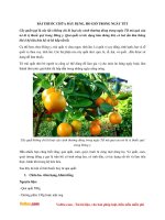 Bài thuốc chữa đầy bụng, ho gió hiệu quả trong ngày Tết