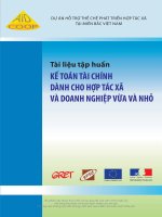 KẾ TOÁN TÀI CHÍNH DÀNH CHO HỢP TÁC XÃ VÀ DOANH NGHIỆP VỪA VÀ NHỎ