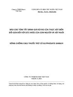 BÁO CÁO TÓM TẮT ĐÁNH GIÁ RỦI RO CỦA THỰC VẬT BIẾN ĐỔI GEN ĐỐI VỚI SỨC KHỎE CỦA CON NGƯỜI VÀ VẬT NUÔI BÔNG CHỐNG CHỊU THUỐC TRỪ CỎ GLYPHOSATE GHB614