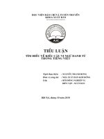 TÌM HIỂU về KIỂU câu vị NGỮ DANH từ TRONG TIẾNG VIỆT