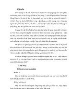 kinh tế phát triển phân tích tỉ lệ nghèo đói của VN