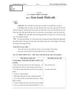 Giáo án mĩ thuật lớp 3 soạn theo đan mạch cả năm