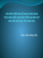 HÒA BÌNH TRIỂN KHAI kế HOẠCH HÀNH ĐỘNG THỰC HIỆN CHIẾN lược PHÁT TRIỂN GIA ĐÌNH VIỆT NAM đến năm 2020, tầm NHÌN 2030