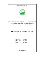 Đánh giá sinh trưởng và đề xuất các giải pháp phát triển rừng trồng cây keo tai tượng t ại xã tân thái   huyện đại từ   tỉnh thái nguyên 