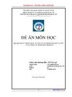 Hoạt động dầu tư sản xuất kinh doanh tại mỹ của công ty bánh kẹo kidoco