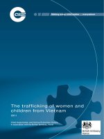NPM CEOP FCO report trafficking of vietnamese women and children