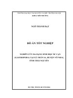 NGHIÊN CỨU ĐA DẠNG SINH HỌC ỐC CẠN (GASTROPODA) TẠI XÃ THẦN SA, HUYỆN VÕ NHAI, TỈNH THÁI NGUYÊN