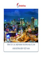 TÓM TẮT CÁC HIỆP ĐỊNH THƯƠNG MẠI TỰ DO ẢNH HƯỞNG ĐẾN VIỆT NAM