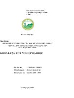 Đánh giá sự ảnh hưởng của một số yếu tố đến giá đất trên địa bàn huyện cao lộc   tỉnh lạng sơn giai đoạn 2011 2014 