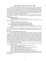 BẢO VỆ MÁY PHÁT ĐIỆN TRONG HỆ THỐNG ĐIỆN