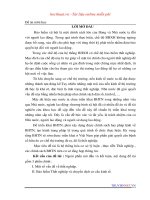 Hệ thống hóa cơ sở lý luận , thực tiễn thất nghiệp , các chính sách BHTN trên cơ sở tống hợp thông tin