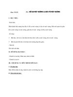 Giáo án môn Toán bài Đề-ca-mét vuông và Héc-tô-mét vuông